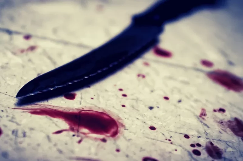 Knife with blood - cover image for movies like freaky post